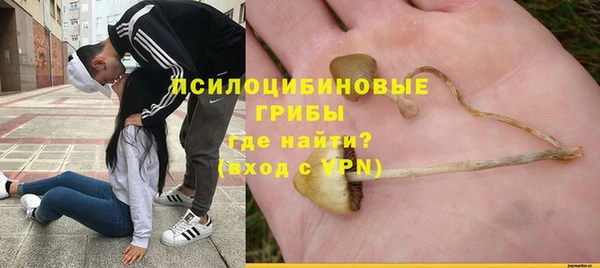 mdpv Арсеньев