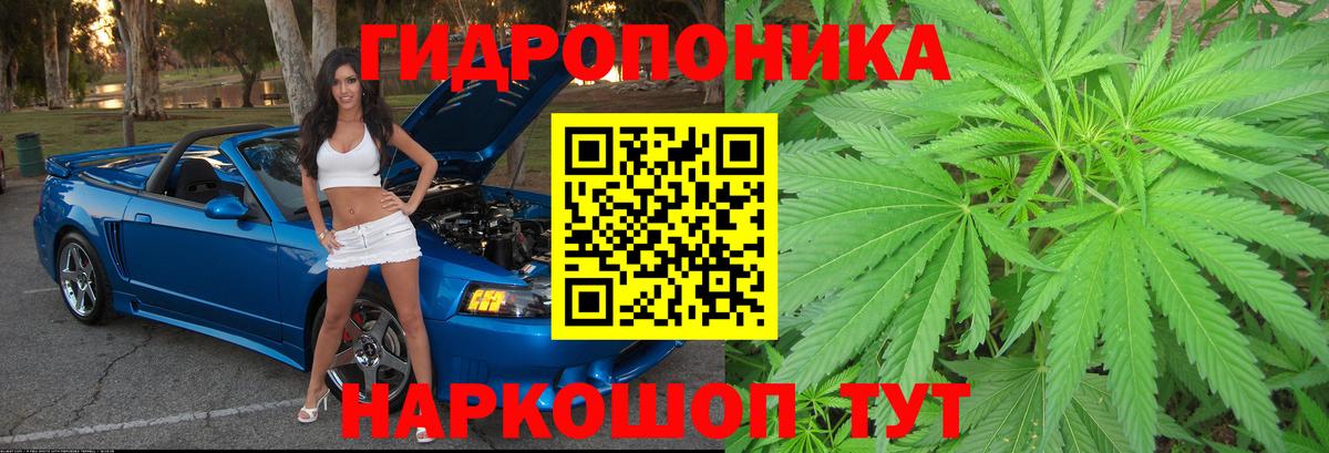 Шишки марихуана OG Kush  Вход с VPN  Шишки марихуана тримм  Бошки марихуана MAZAR  Можга  Бошки Шишки OG Kush 